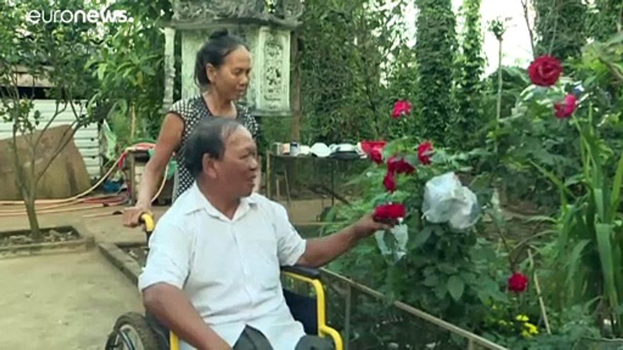 Pandemia coloca em causa operações de desminagem