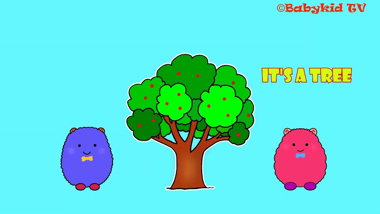 What's this? / What's this – Flashcards