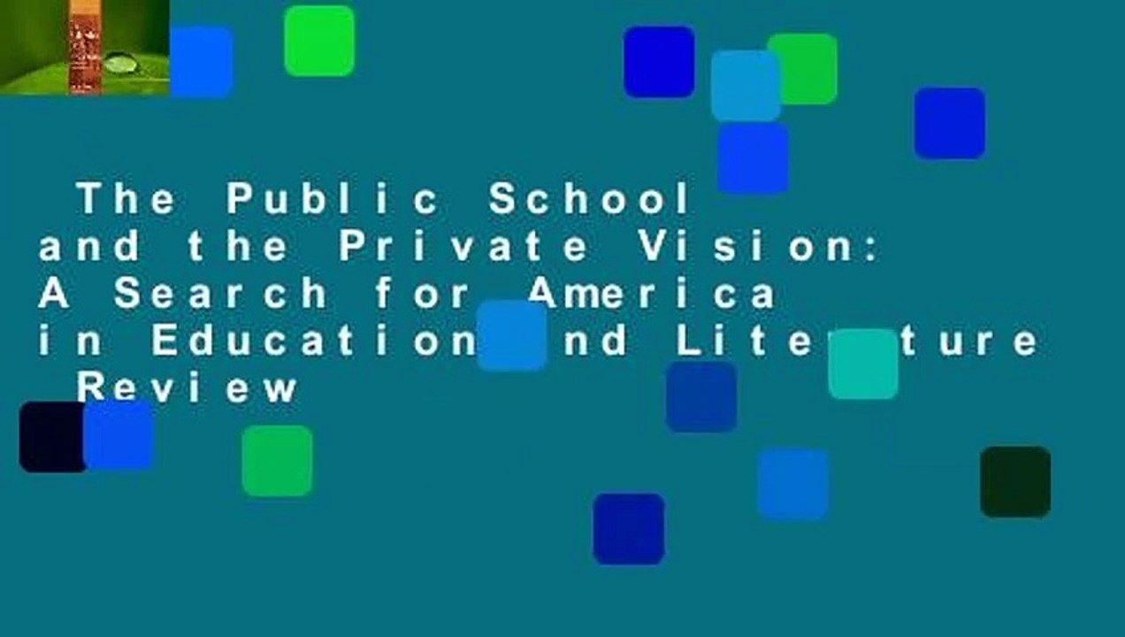 The Public School and the Private Vision: A Search for America in Education and Literature  Review