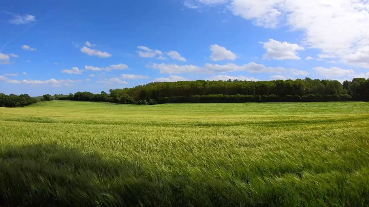 Landscapes, Relaxing Music, Sleep Music, Study Music, Focus Music, Meditation Music