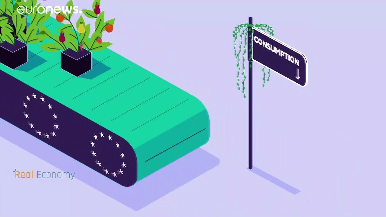 Europe’s Green Transition: How the EU Green Deal Shapes Our Future 🌱