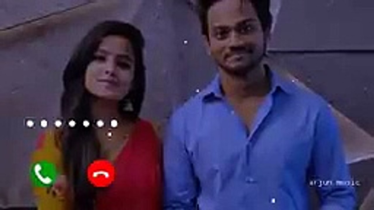 software developer bgm