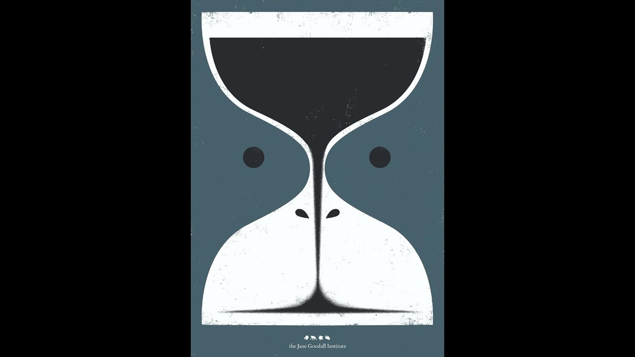 Havas Hong Kong / Jane Goodall Institute / Chimpanic