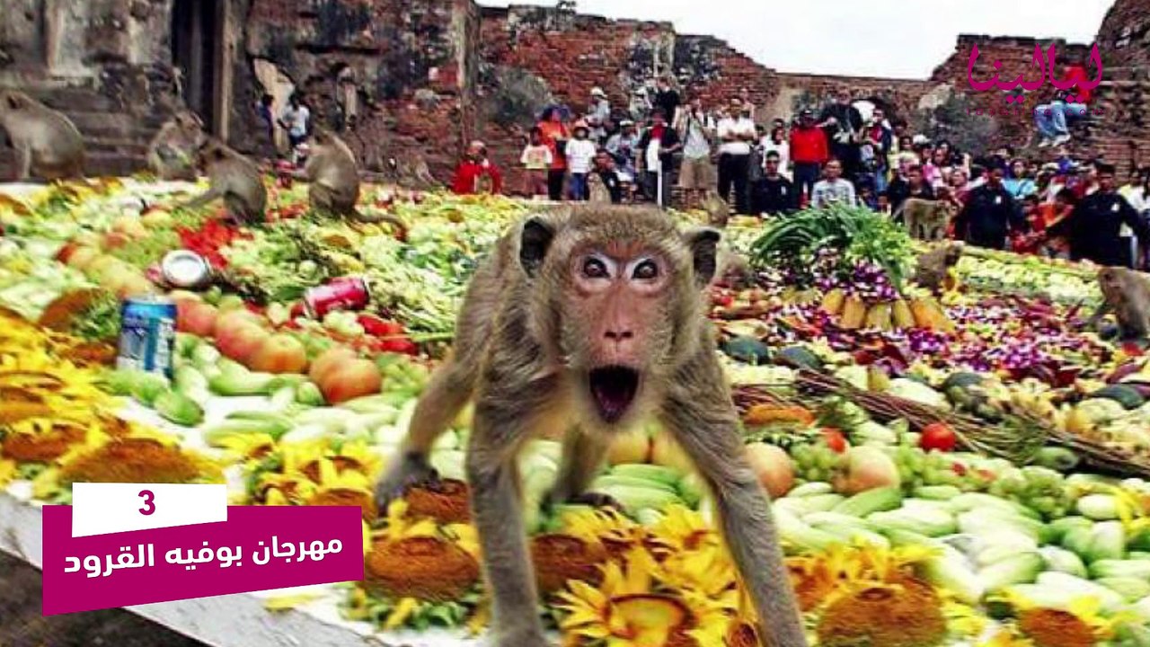 أغرب 10 مهرجانات في العالم