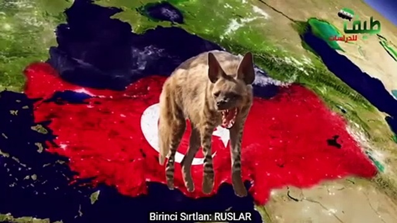 Muhteşem analiz: Türkiye ve 7 sırtlan