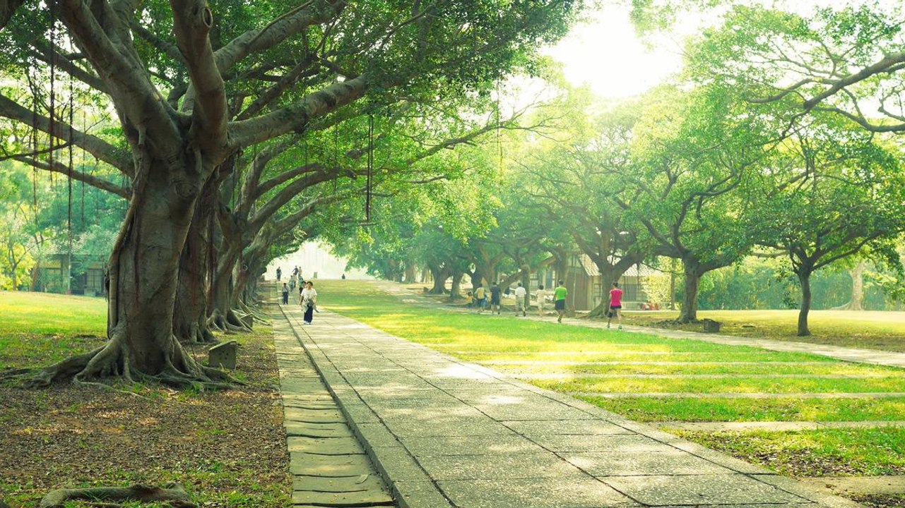 Dubai 'Parks' on its Biggest Project