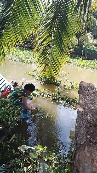 Mother in-law and mother in-law