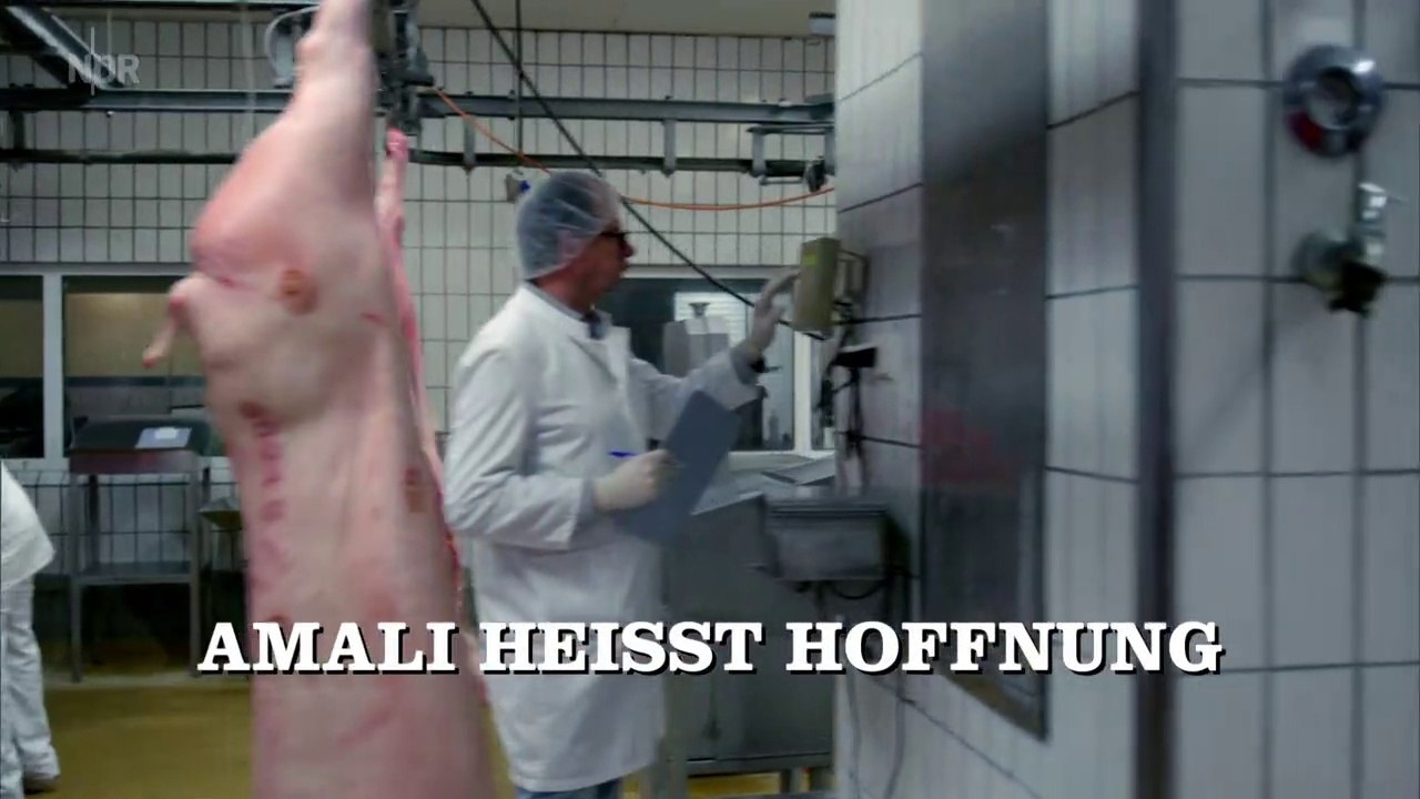 Großstadtrevier - 371. Amali heisst Hoffnung