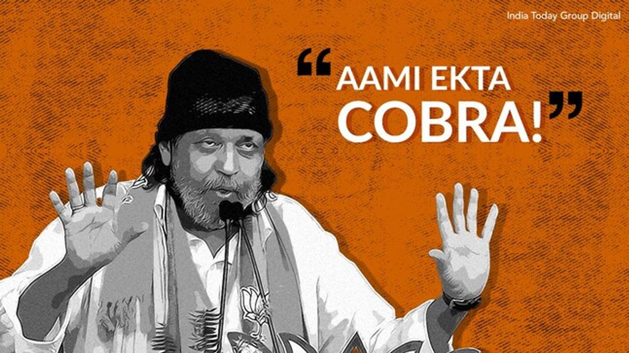 What does Mithun's viral Cobra slogan mean?