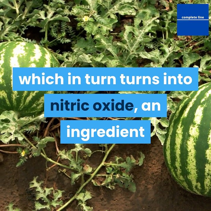 Exploring the Benefits of Watermelon