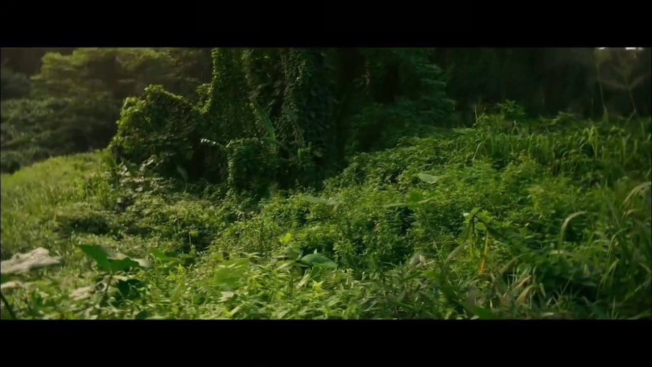 Godzilla vs Kong movie action scene (2021-4k)