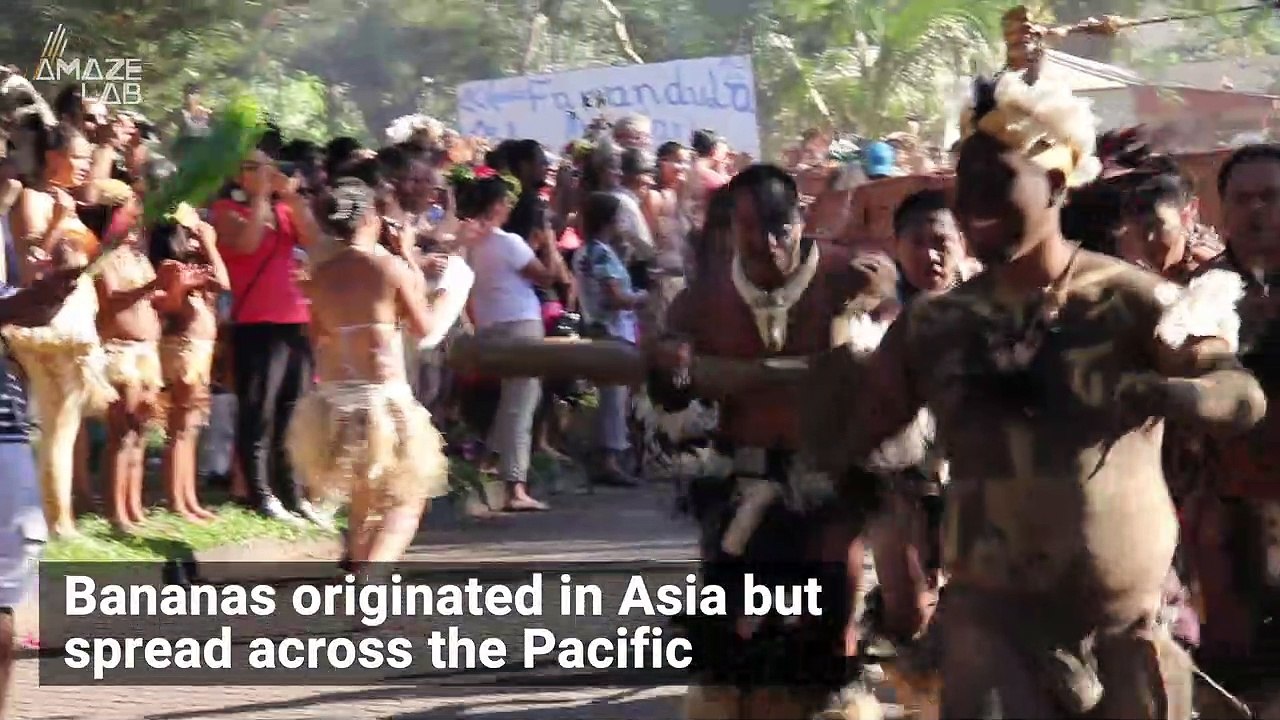 The Complex and Puzzling History of Bananas Explained