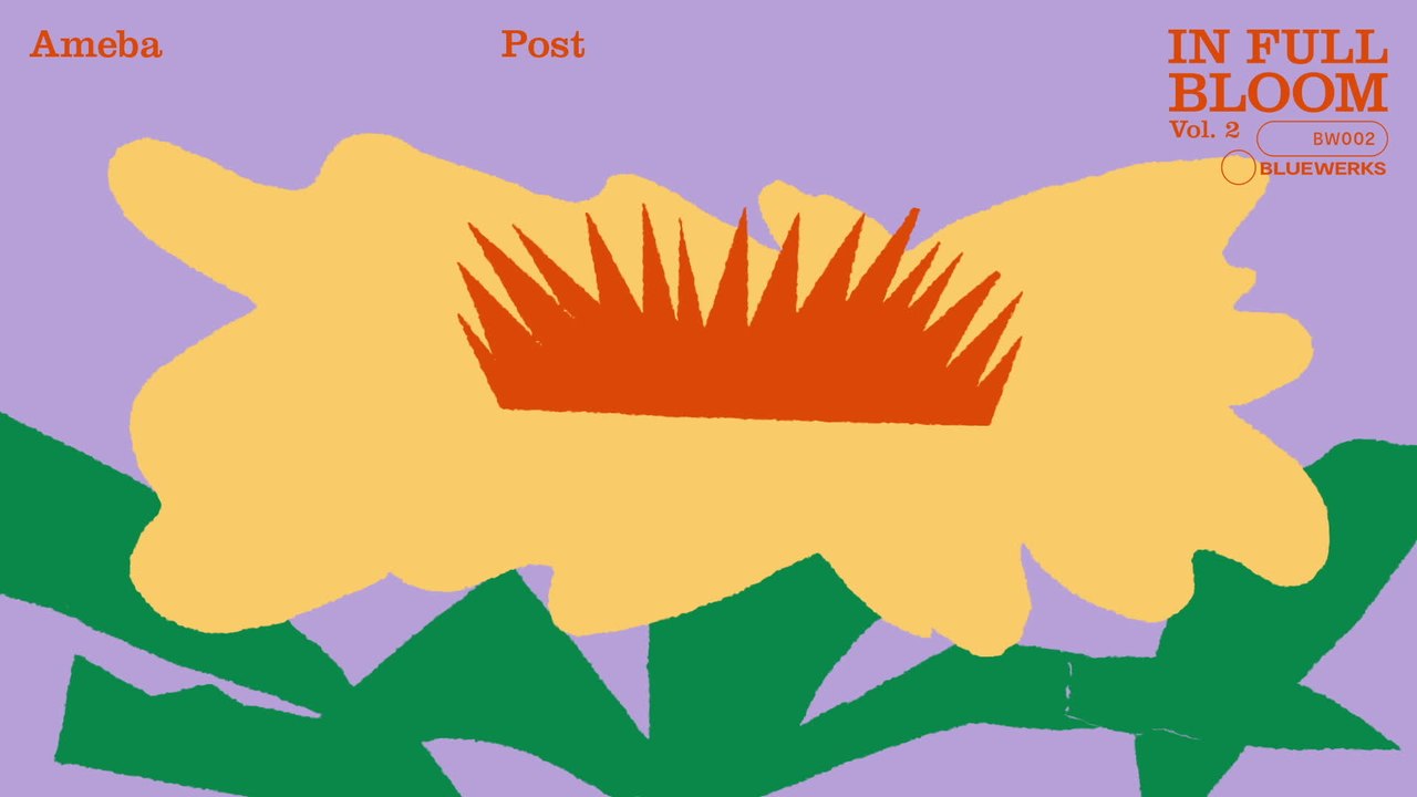 Bluewerks Post by Joe & Toby Mortimer 🎬