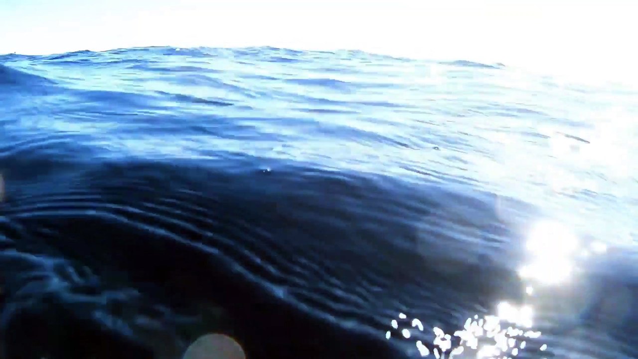 Focus Music for Work 2021, Relaxing Music for Studying, Music to Study and Concentrate