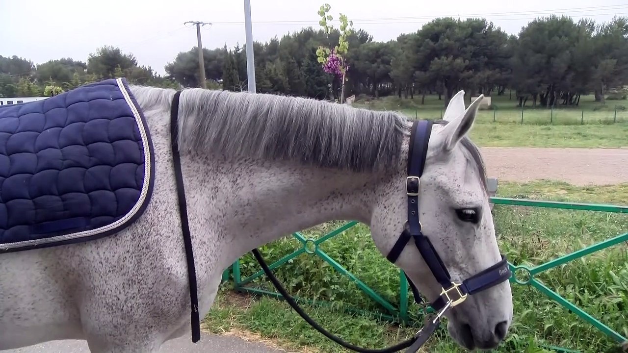Interview maritima avec Mélie Gosa au centre du Deven à Istres