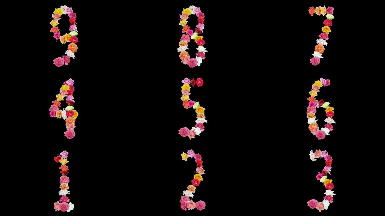Blooming winsome Roses forming numbers from zero to nine | Licensed Footage