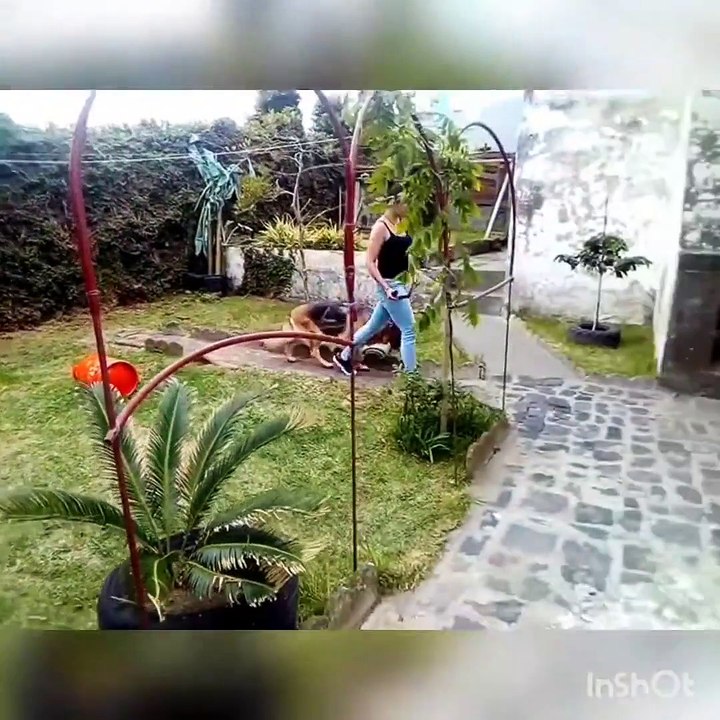 Nikita Pastor Alemão