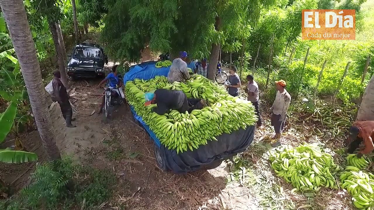 #Boletín l El arroz, aceite y plátanos, entre alimentos que más aumentaron en abril. Boletín con Katherine Espino