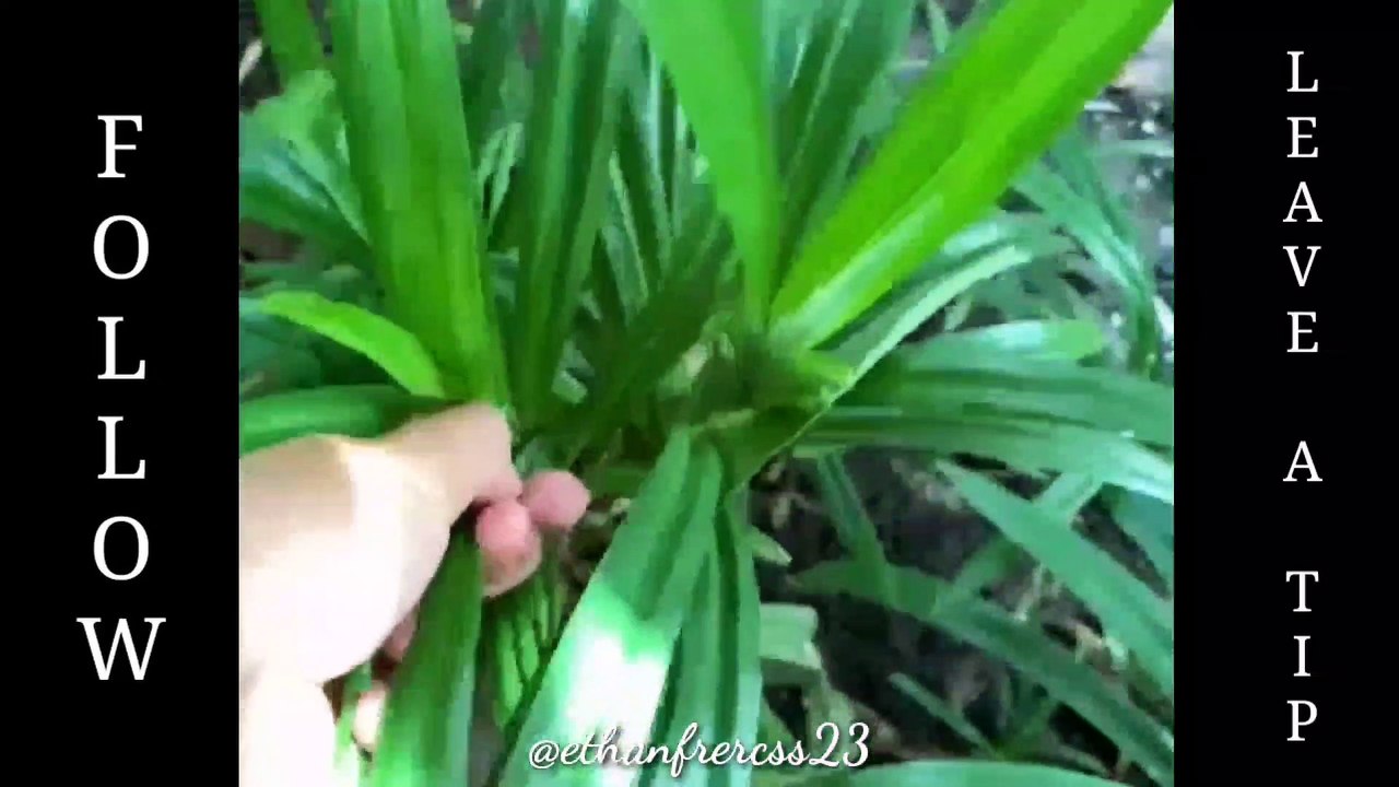 New Update, New Upload