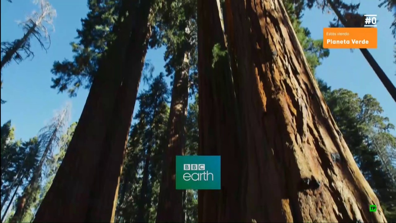 Planeta Verde - Mundos tropicales [Documental HD]