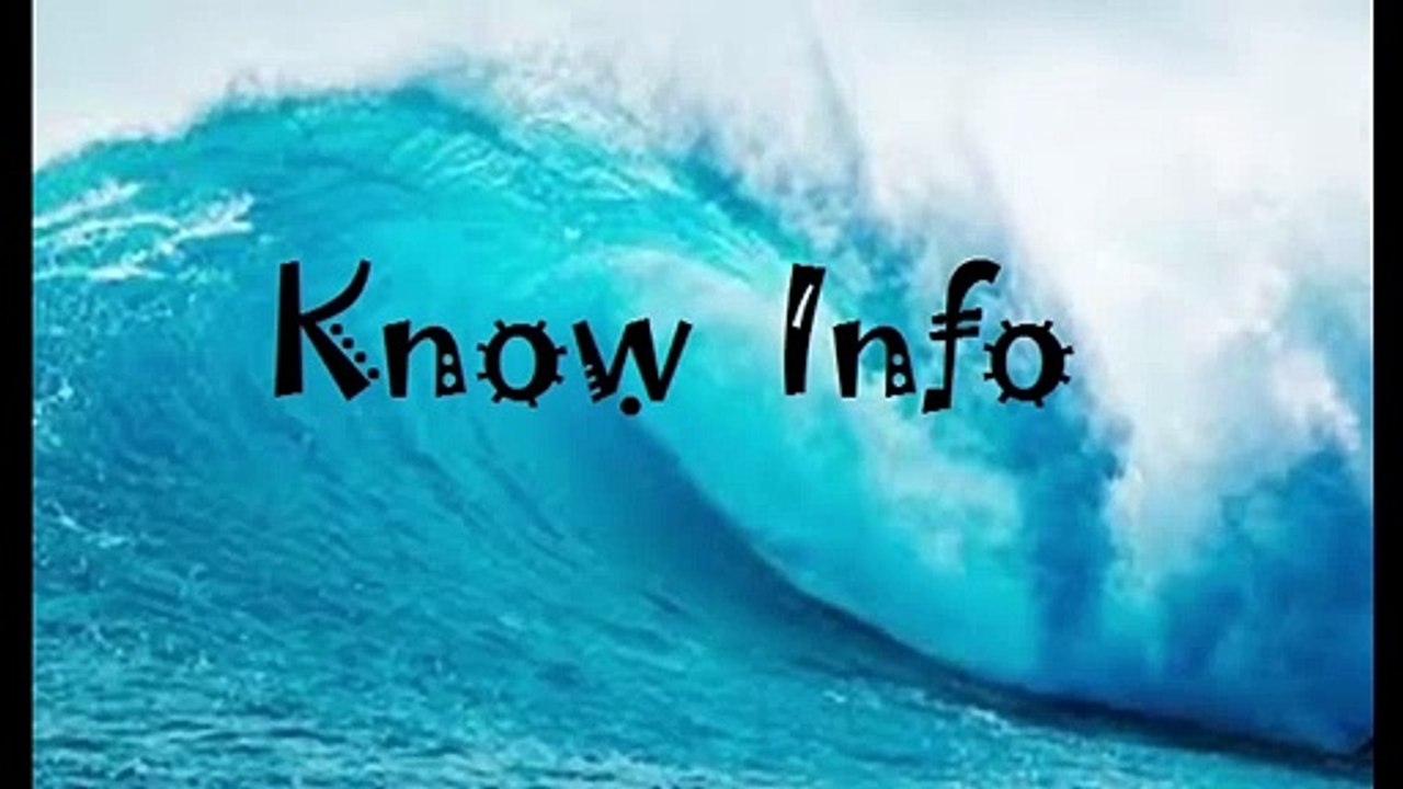 Top 10 Best Survival Movies 2021