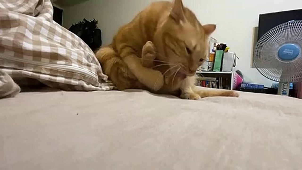 OMG ! Help ! Help ! Help !