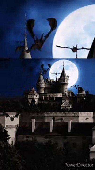 Interesting Facts About Harry Potter movie