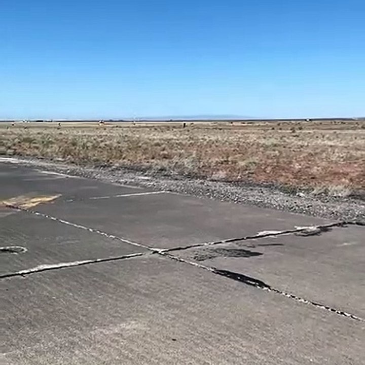 Motosiklet sürücüsü Alex Harvill rekor denemesi yaparken hayatını kaybetti