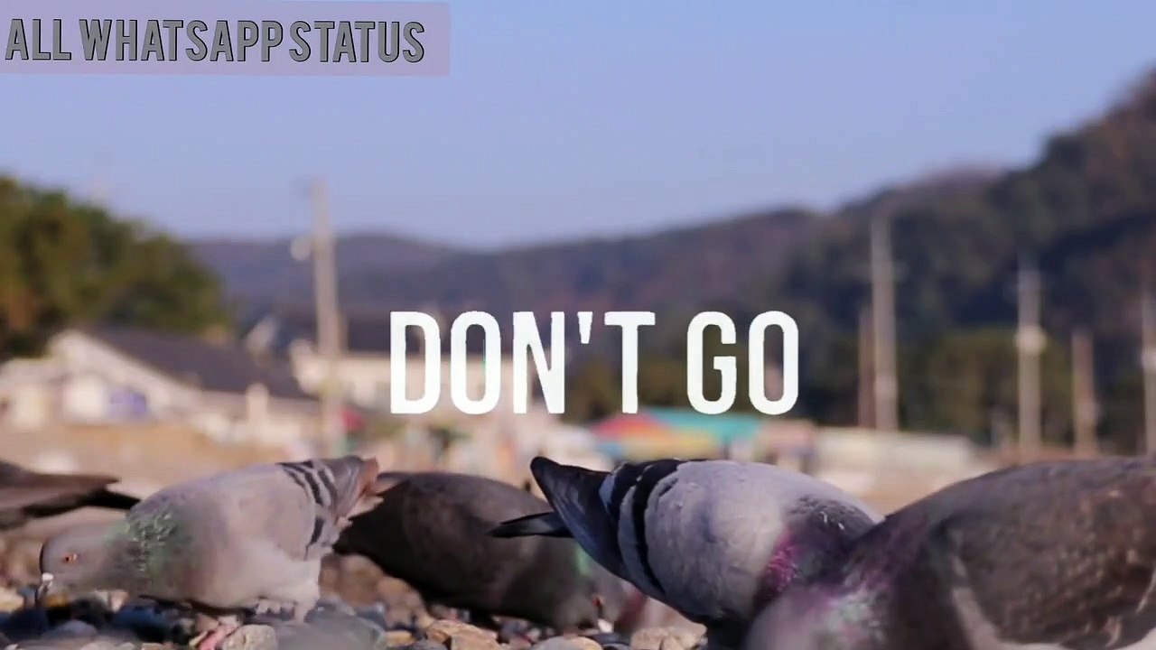 FRIENDS Marshmello & Anne WhatsApp Status English SonG