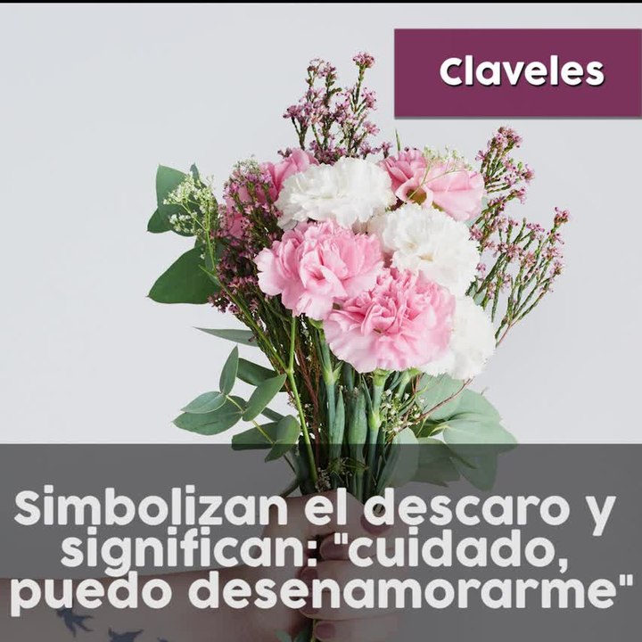 Significado de las flores