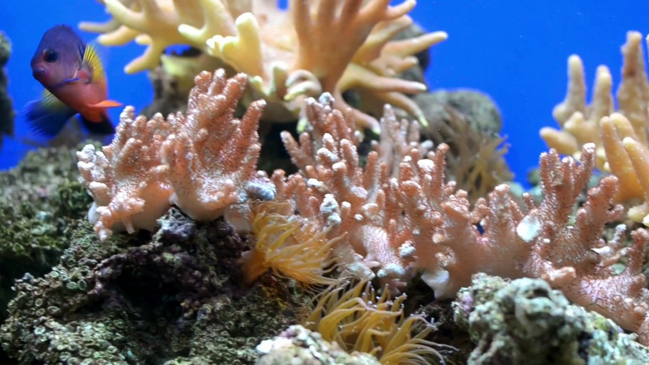 Relaxation Music, Calm Music, Study Music, Work Music, Healing Music , Meditation Music Vol 4