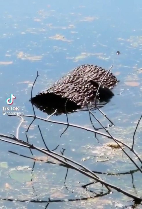 OK, OK. I got this, I got this, I got this.