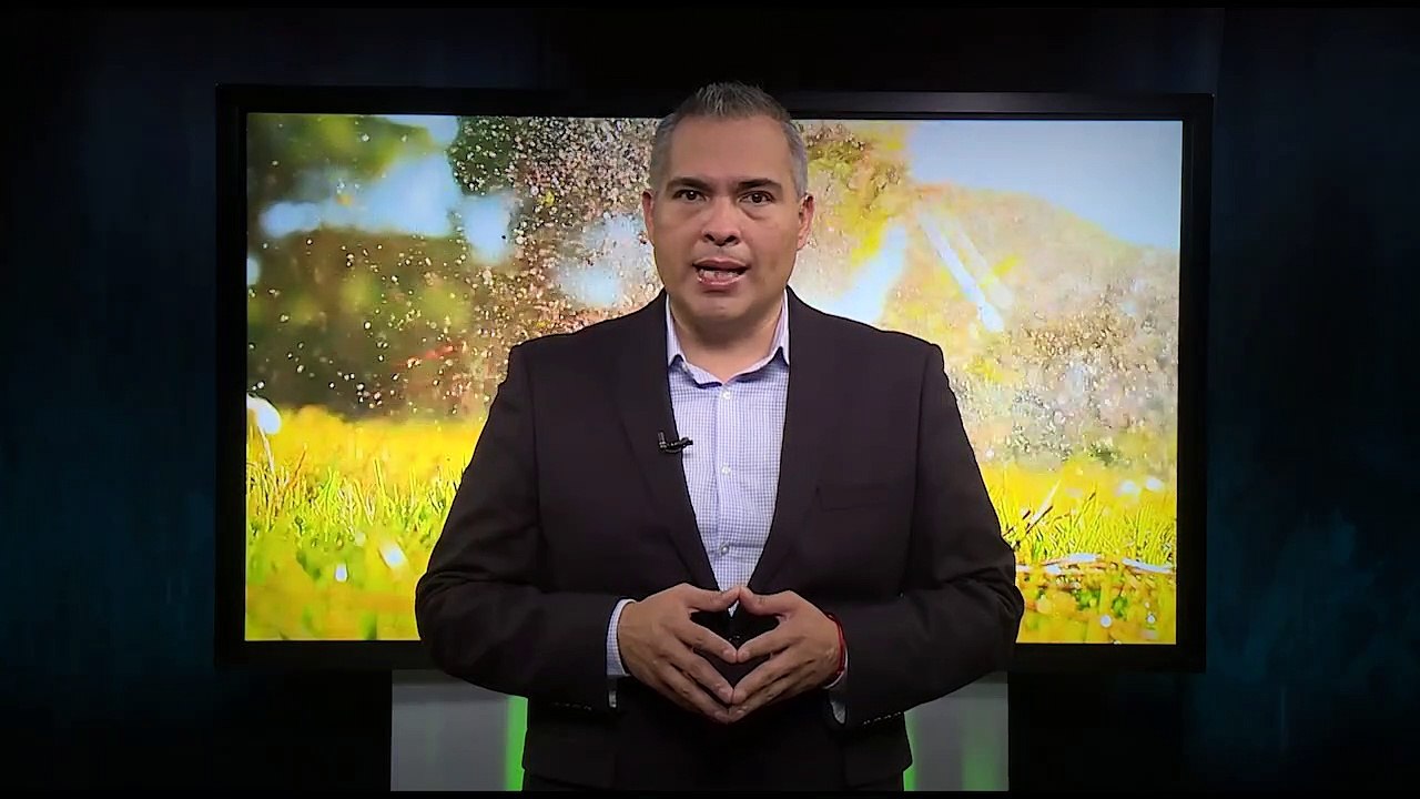 Valor Olímpico 11 - Paea Wolfgramm: El Valor del Esfuerzo