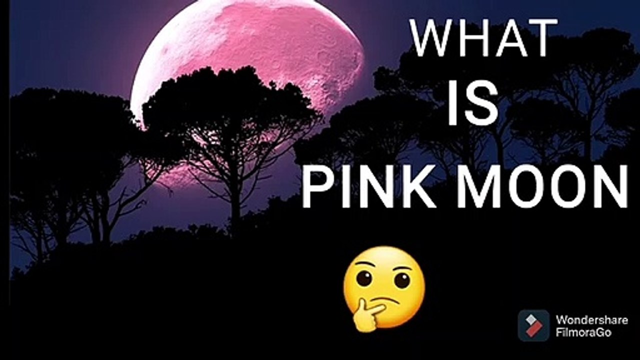Pink Moon का मतलब क्या है? जानिए हिंदी में आसान व्याख्या 🌕