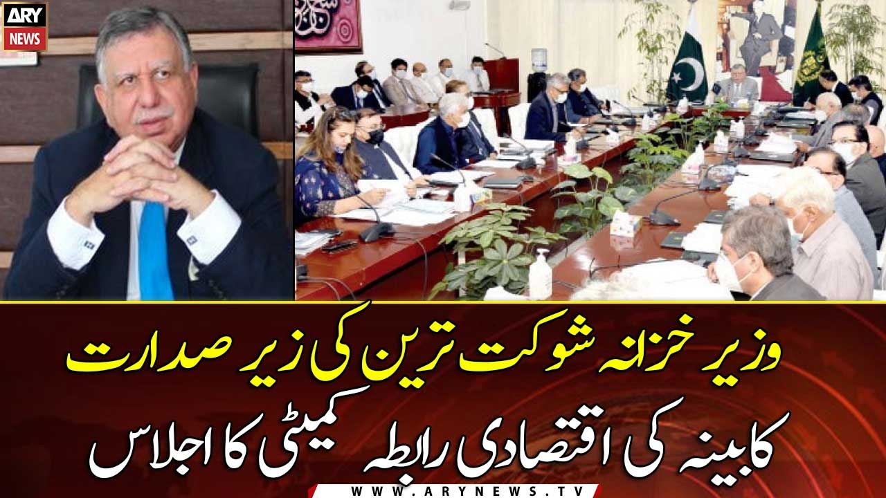 Finance Minister Shaukat Tarin chairs ECC meeting