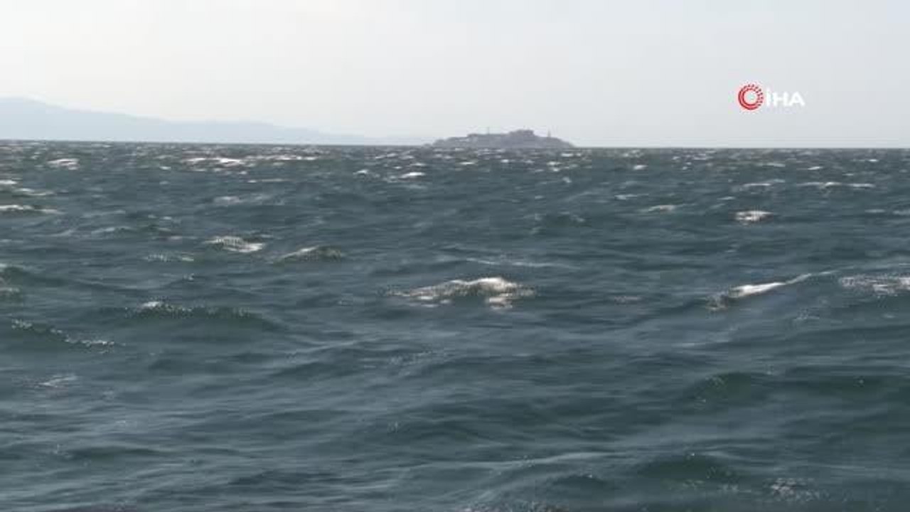 TBMM Müsilaj Araştırma Komisyonu Büyükada'da tüple dalış yaptı