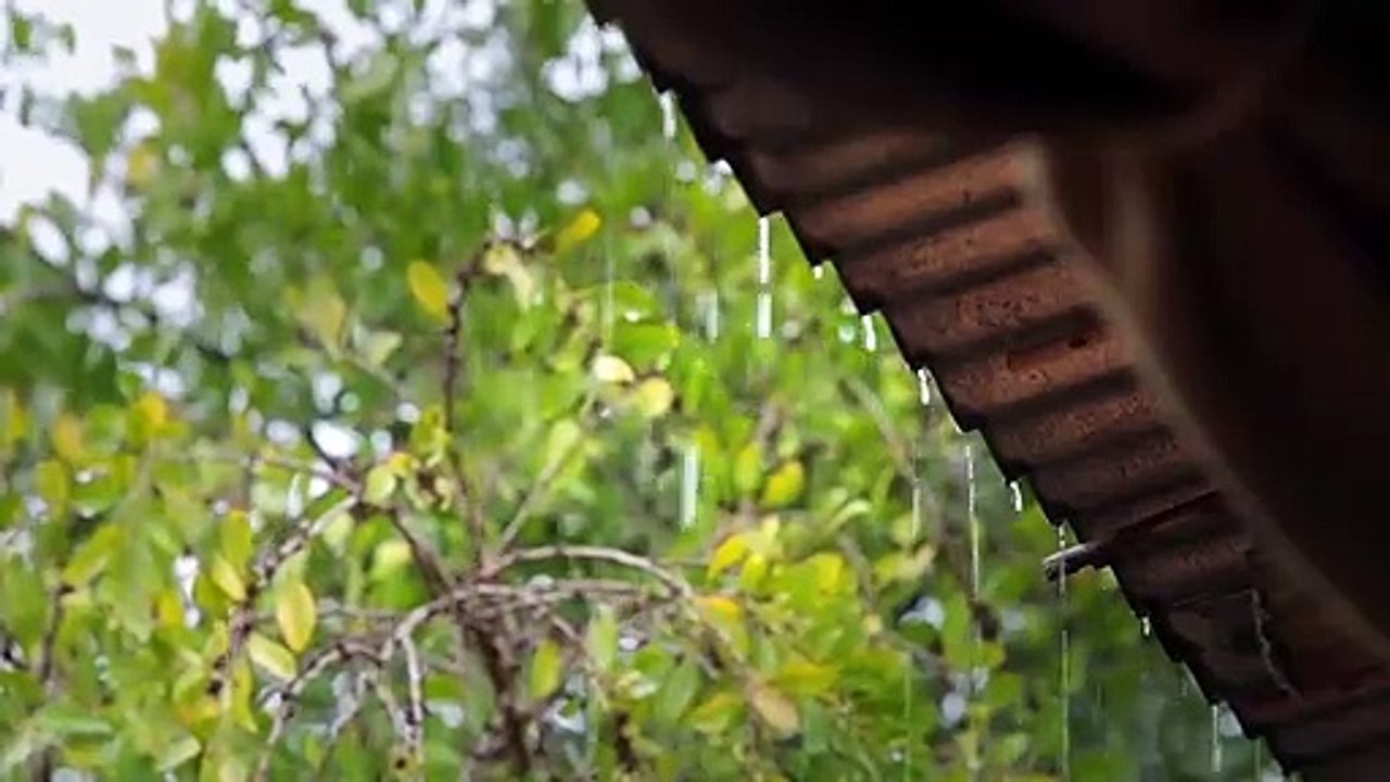 Unwheel Adventures Movie