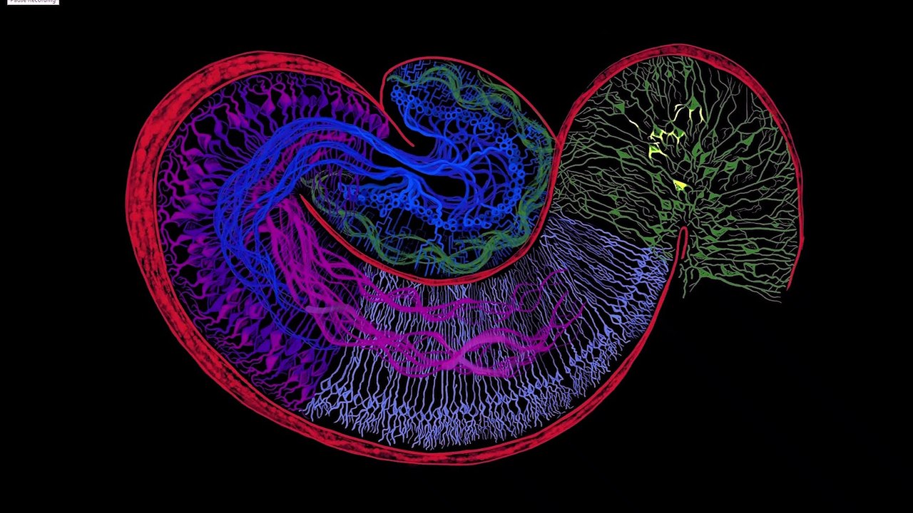 The history artificial neural network