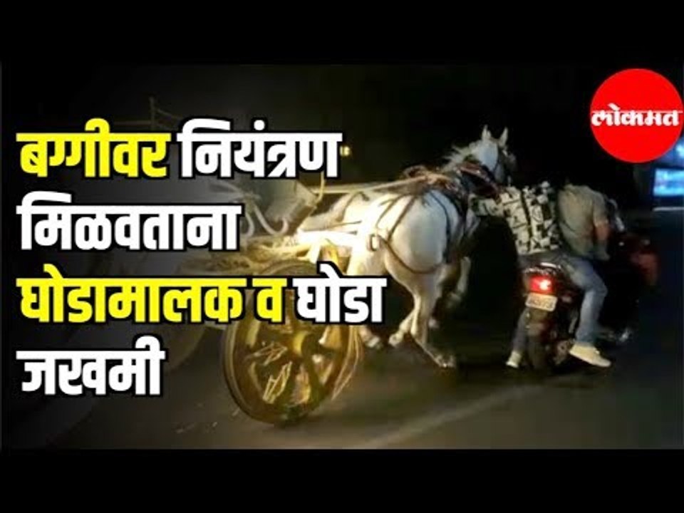 उधळलेली बग्गी नियंत्रित करताना घोडामालक व घोडा जखमी | Yerwada | Pune