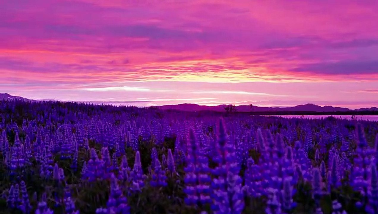 Video NOT created for kids 2