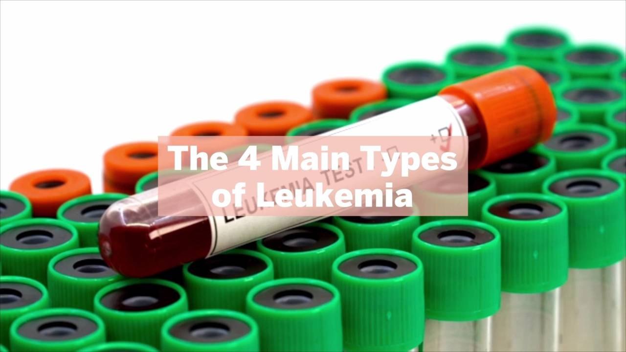 The 4 Main Types of Leukemia—Plus, Several Rare Types to Know