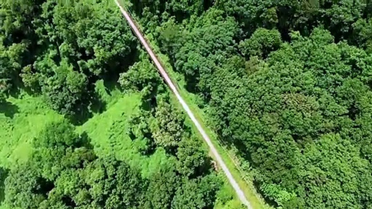 Relaxing Music relax music music