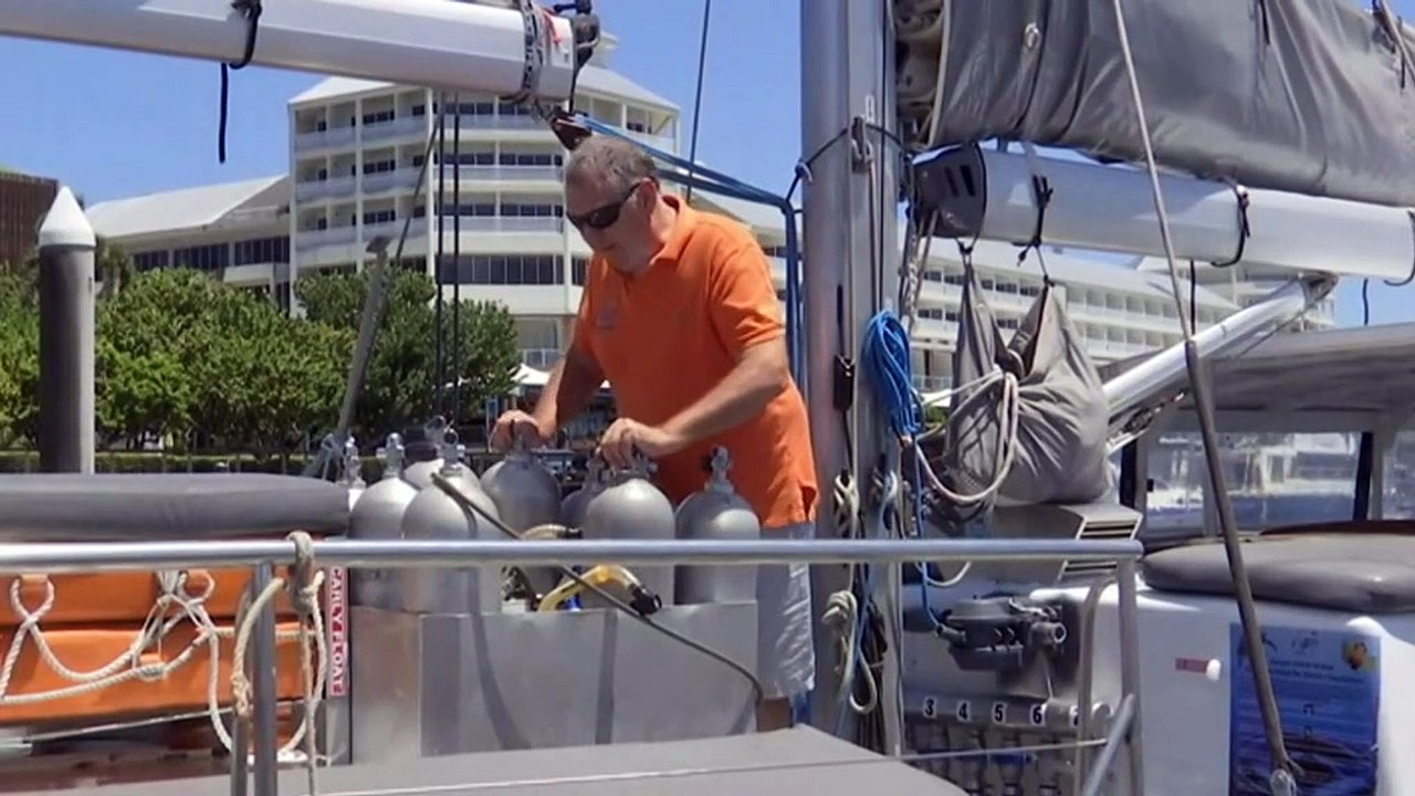 Mixed reactions from tourism bodies to QLD roadmap