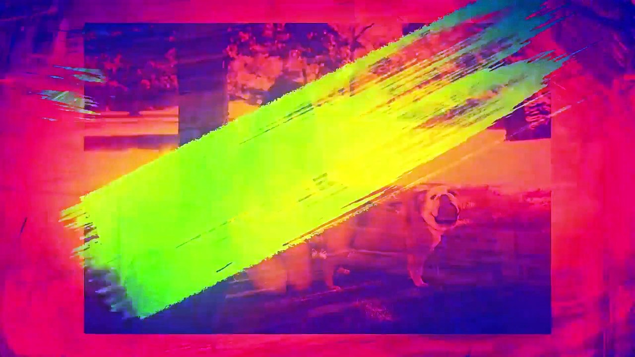 Main Kya Hota Hai? जानिए बॉलीवुड का असली मतलब और उसकी दुनिया 🎬