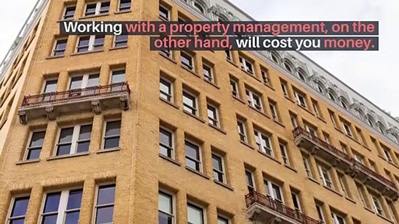 what is the relation between director and client-Jason Lei Howden