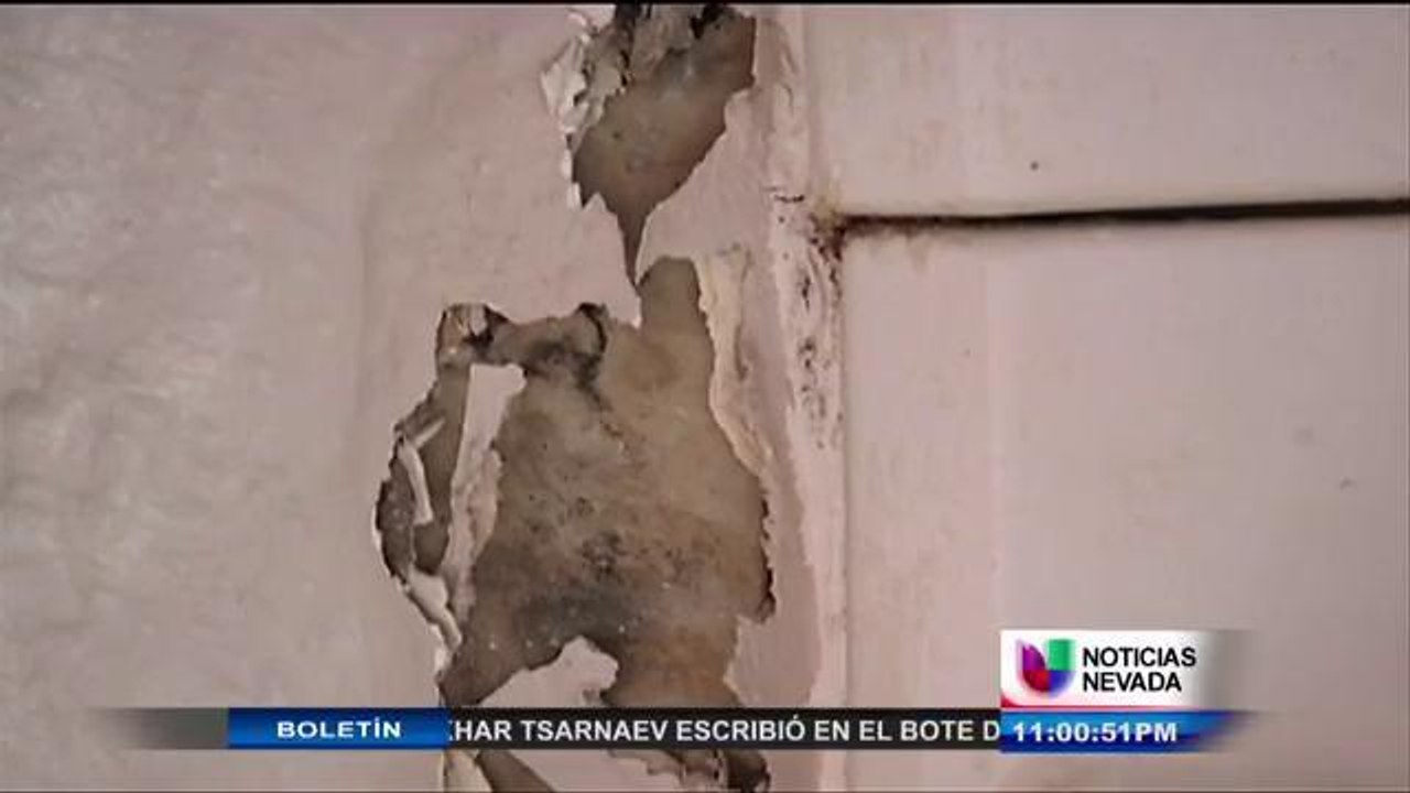 Qué hacer si hay moho donde rent