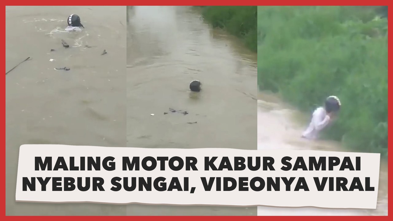Maling Motor Kabur dan Nyebur Sungai, Videonya Renang Pakai Helm Viral