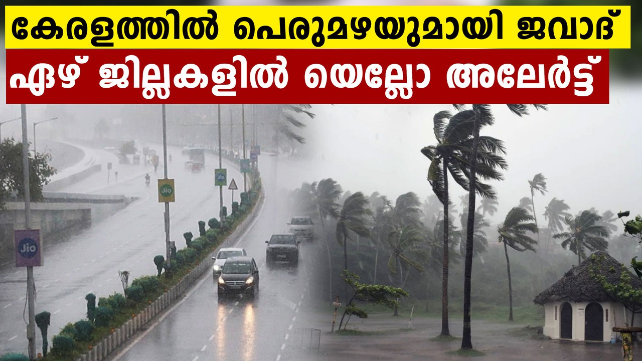 Kerala Rains: Yellow alert declared in 7 districts | Oneindia Malayalam