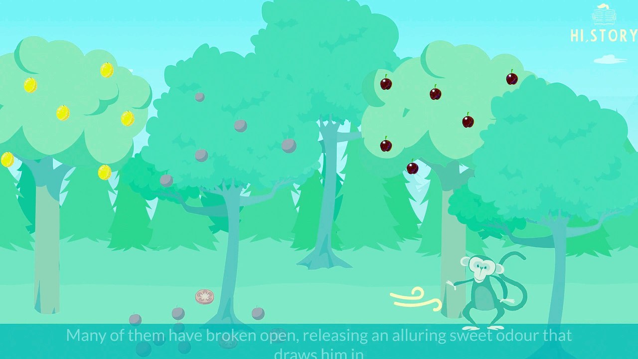 The History of Alcohol