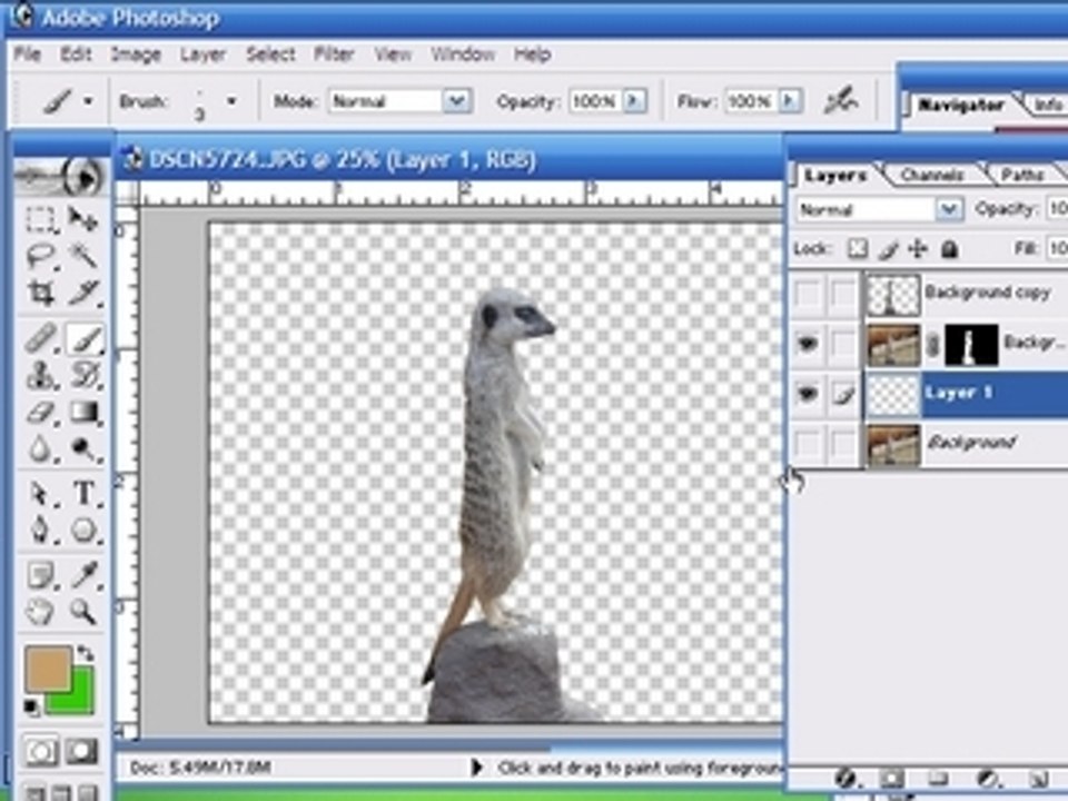 Advanced Background Removal Techniques